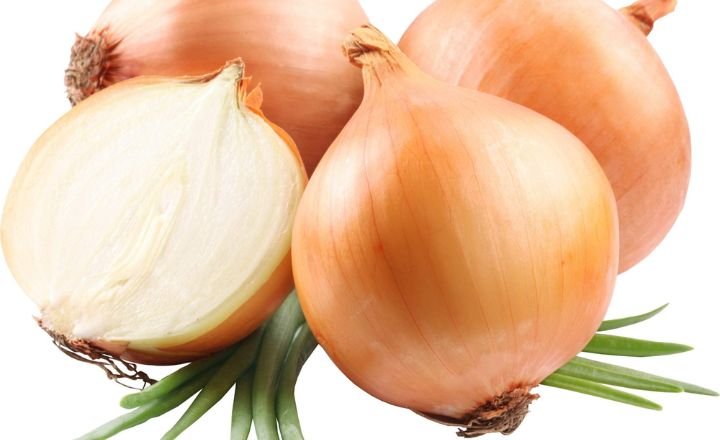 grow candy onions