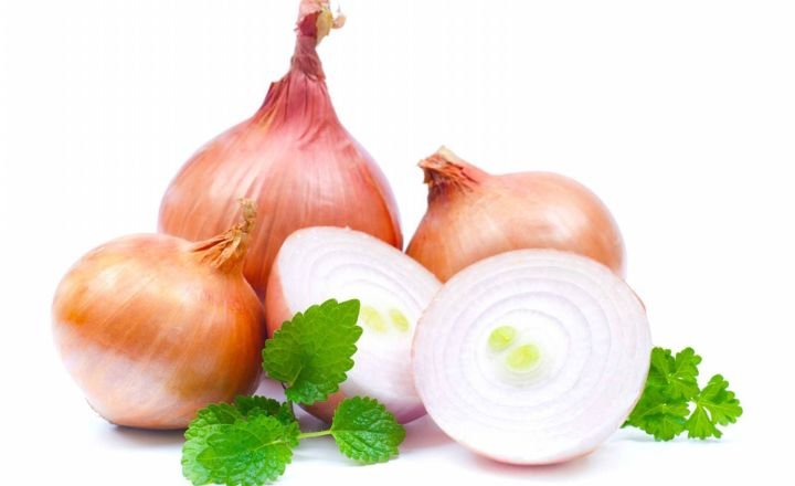 grow candy onions