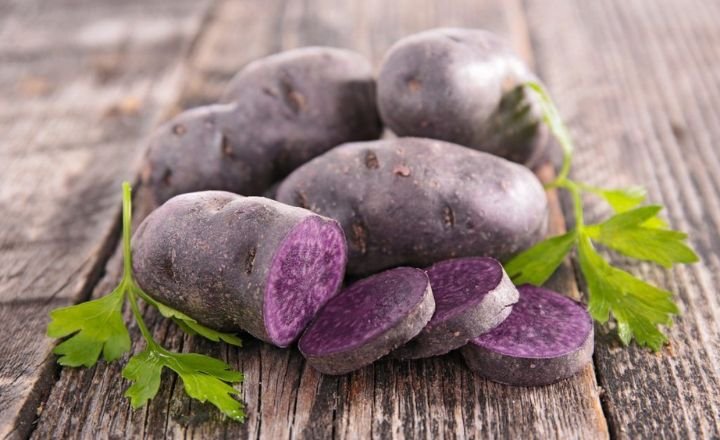 grow purple sweet potatoes