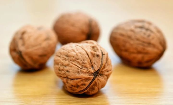 Fruit Has a Single Seed